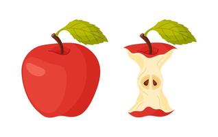Red juicy apple eating steps icons. Stages of biting ripe apple from whole and core, bite progression. Hand drawn flat style isolated. Bitten Red apple fresh garden fruit illustration vector