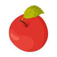 Red ripe apple with leaf, fresh garden fruit. Hand drawn food clipart. Whole apple fruit with green leaf, Flat style isolated on transparent background icon vector