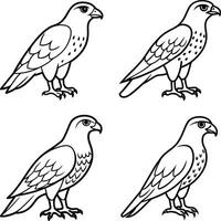 Variety of bird sketch drawing sheets vector
