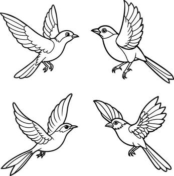 Bird line drawing color sheet bundle vector