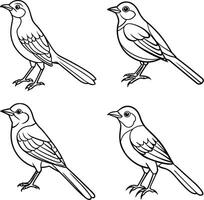 Assortment of bird outline sketch pages vector