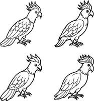 Collection of bird drawing outline templates vector
