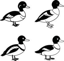 Bird Line Art Set Outline Illustration Collection of Various Birds vector