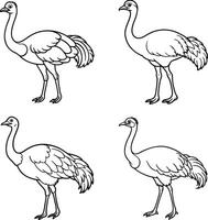 Set of bird line art coloring templates vector