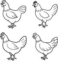 Bird Outline Drawing Set Line Art Collection of Birds vector