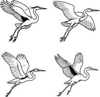 Set of bird drawing outline templates vector