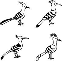 Outline Bird Illustration Set Line Art Collection of Birds vector