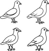 Bird Illustration Drawing Outline Line Art Collection of Birds vector