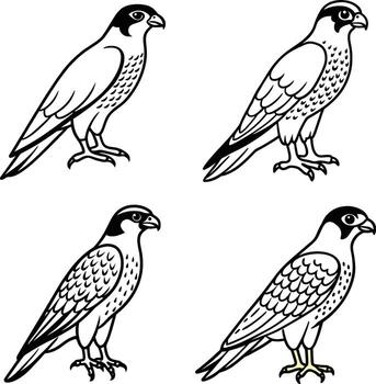 Range of bird line art color templates vector