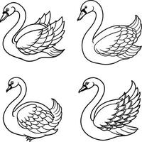Variety of bird sketch outline sheets vector
