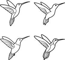 Line Art Bird Collection Drawing Outline Set of Birds vector