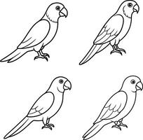 Bird Line Art Sketch Drawing Outline Collection of Birds vector