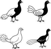Bird Line Drawing Outline Collection Art Set of Birds vector