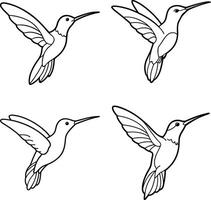 Bird Sketch Line Art Collection Outline Drawing Set of Birds vector