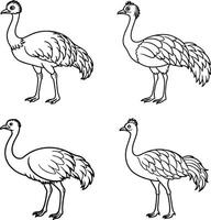 Pack of bird line art pages vector