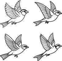 Set of bird line drawing templates vector
