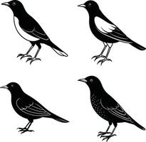 Bird Drawing Sketch Outline Art Line Collection of Birds vector
