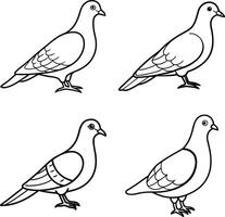 Bird Art Outline Drawing Line Collection of Birds vector