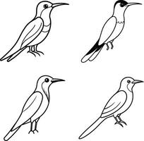 Bird Line Sketch Collection Outline Drawing Set of Various Birds vector