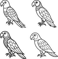 Collection of bird sketch coloring sheets vector