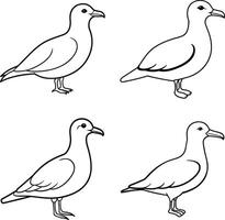 Bird Sketch Drawing Outline Line Art Collection of Birds vector