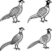 Group of bird line art color pages vector