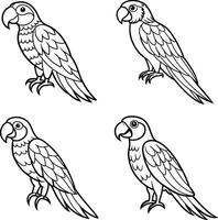 Series of bird drawing outline sheets vector