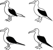 Bird Line Art Sketch Outline Drawing Collection of Birds vector