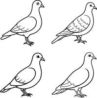 Line Art Bird Sketch Collection Outline Drawing Set of Birds vector
