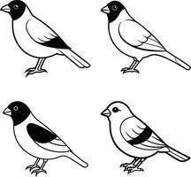 Bird Line Sketch Art Outline Drawing Collection of Birds vector