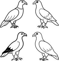 Bird Art Line Drawing Outline Collection Set of Birds vector