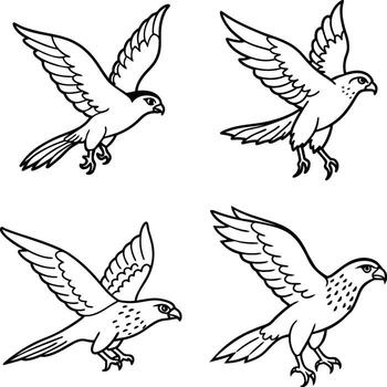 Pack of bird line sketch color sheets vector