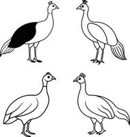 Bird Line Art Drawing Outline Collection of Various Birds vector