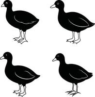 Bird Art Outline Drawing Sketch Line Collection of Birds vector