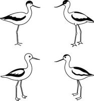 Bird Drawing Outline Collection Line Art Set of Birds vector