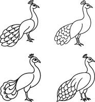 Bird Art Drawing Outline Collection Line Art Set of Birds vector