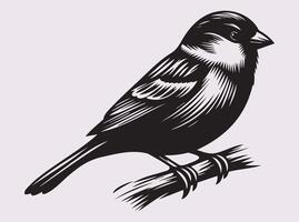 Sparrow in Black Silhouette, Perfect for Nature and Wildlife Art vector