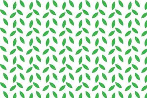 Green leaves pattern on white background . Green leaves background . illustration vector