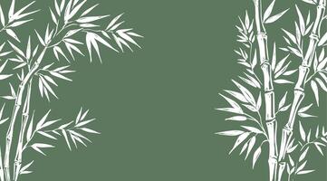 Frame with Bamboo tree on green, Hand drawn style vector