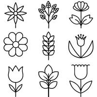 Simple Minimalist Floral Line Drawings for Design. vector