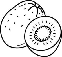 Kiwi Fruit Illustration Black Line Drawing for Coloring Book and Design Projects vector