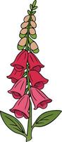 Pink Foxglove Flower Illustration for Design and Craft Projects vector