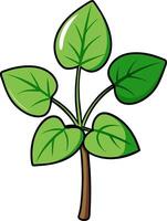 Green Leaf Illustration for Botanical Designs and Art Projects vector