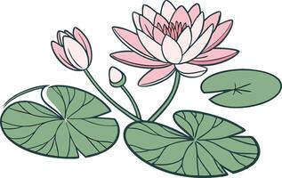Elegant Pink Lotus Flower and Green Lily Pads for Art and Design Projects vector