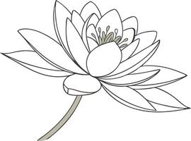 Elegant Lotus Flower Line Art Illustration for Versatile Design Use vector
