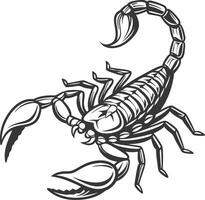 Intricate Black Scorpion Art Design for Tattoos and Illustrations vector