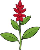 Vibrant Red Flower with Green Leaves for Decorative Design and Art Projects vector