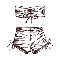 Hand-drawn sketch of two-piece beachwear set with bandeau top and tied shorts in monochrome vintage style vector