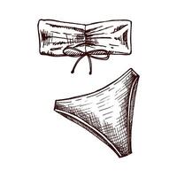 Hand drawn sketch of bandeau bikini set with bow detail in monochrome vintage style vector