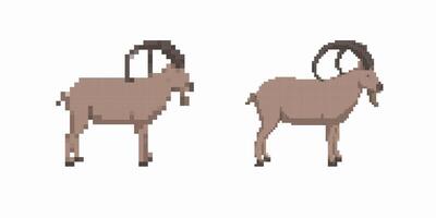 Pixel art ibex with curved horns in side view capturing unique features and sturdy stance vector